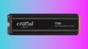 This zippy 1TB Crucial T500 NVMe SSD with heatsink is down to £94 from Ebuyer